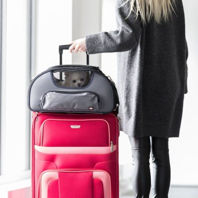 Trixie Geanta Transport Wings pentru Pisici si Caini pana la 20kg, Calatorii cu Avionul, 28x23x46cm, Gri