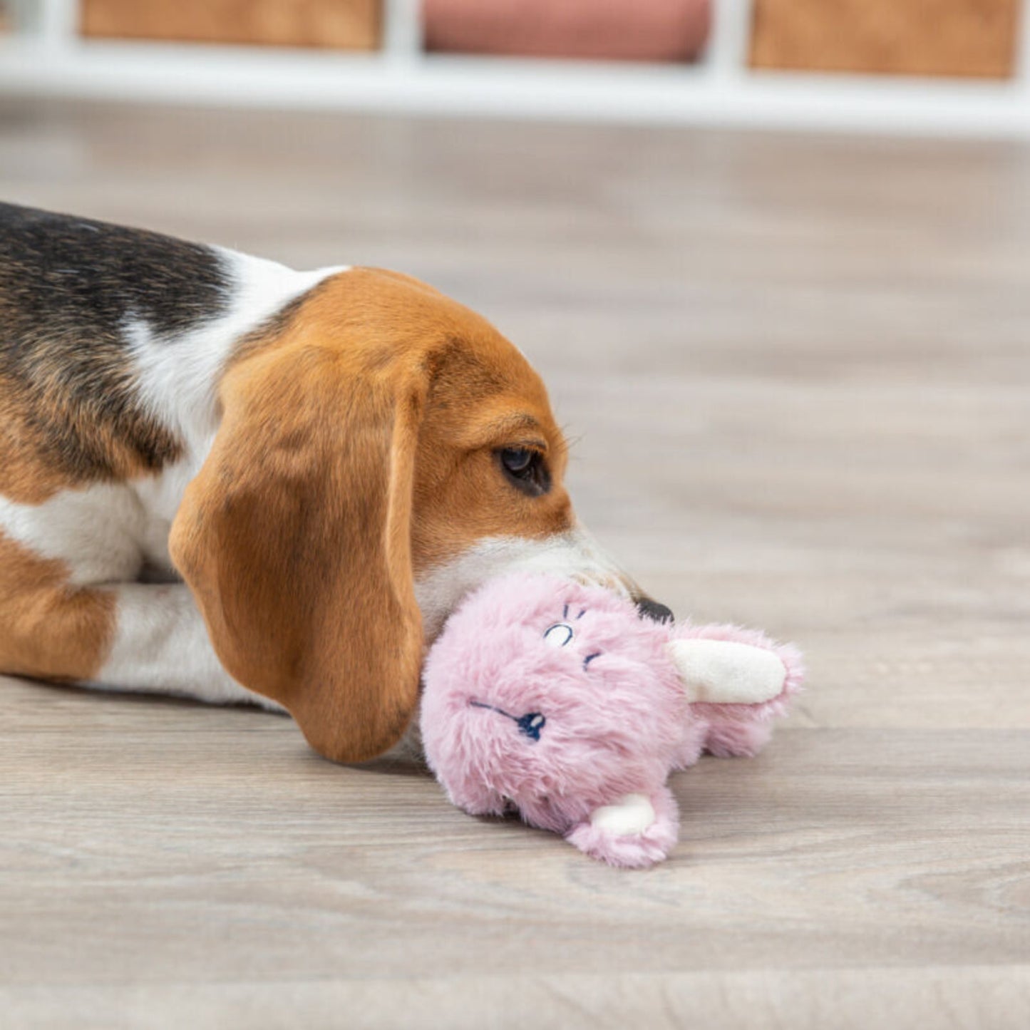 Trixie Jucarie Pentru Caini, Junior, Iepuras (Inel), Plus/TPR, 14 cm