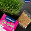 Vitakraft Cat Grass, Iarba Pisici, 50g / 120g