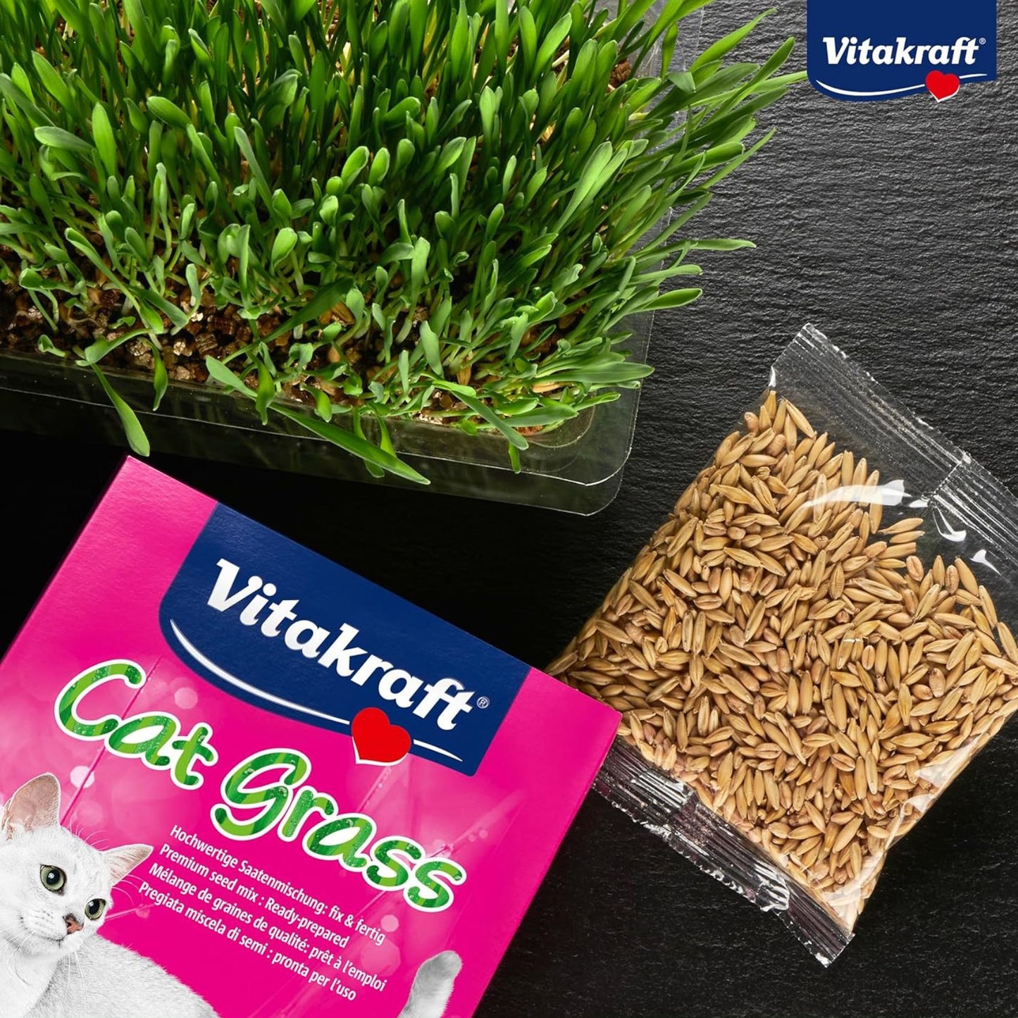 Vitakraft Cat Grass, Iarba Pisici, 50g / 120g