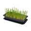 Vitakraft Cat Grass, Iarba Pisici, 50g / 120g