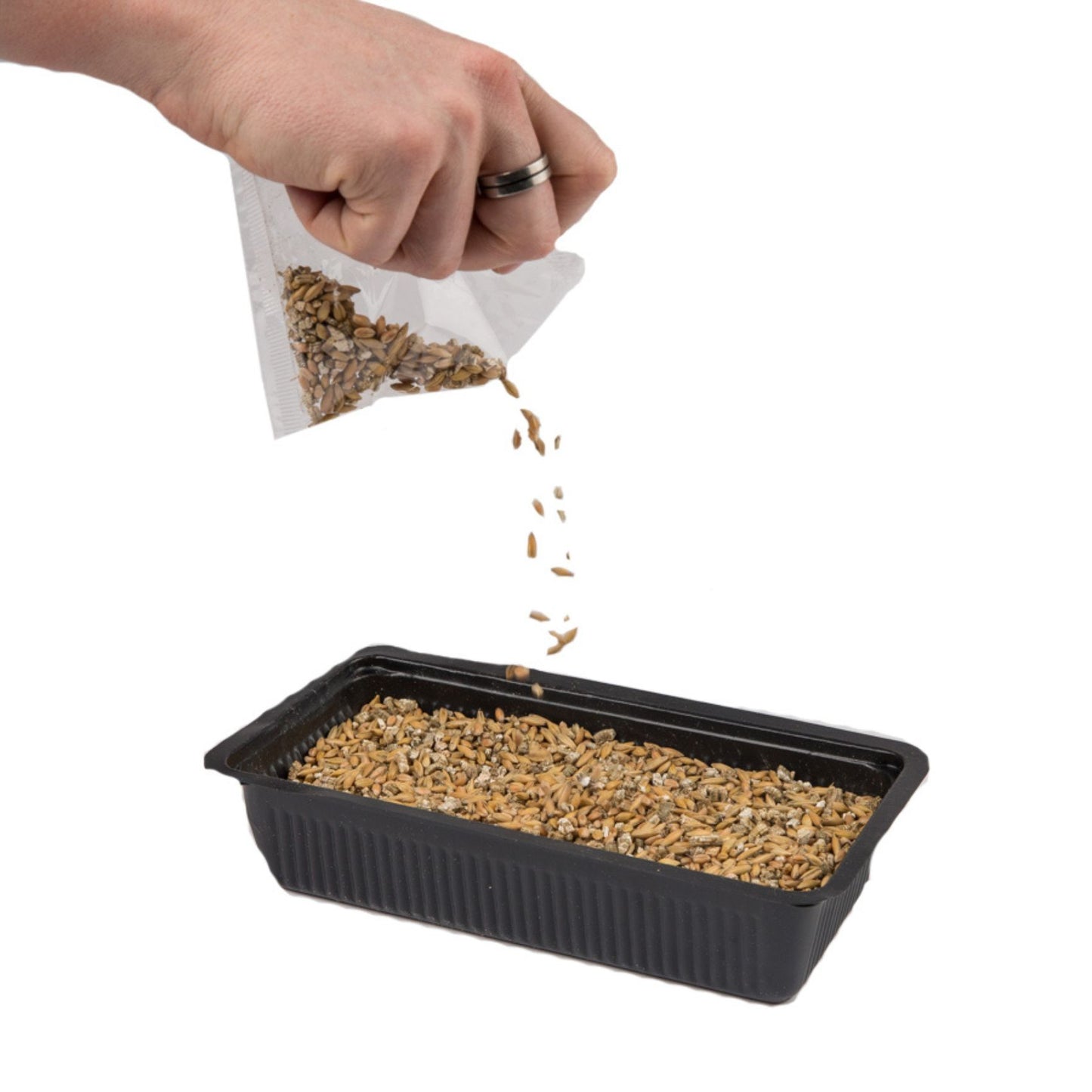Vitakraft Cat Grass, Iarba Pisici, 50g / 120g