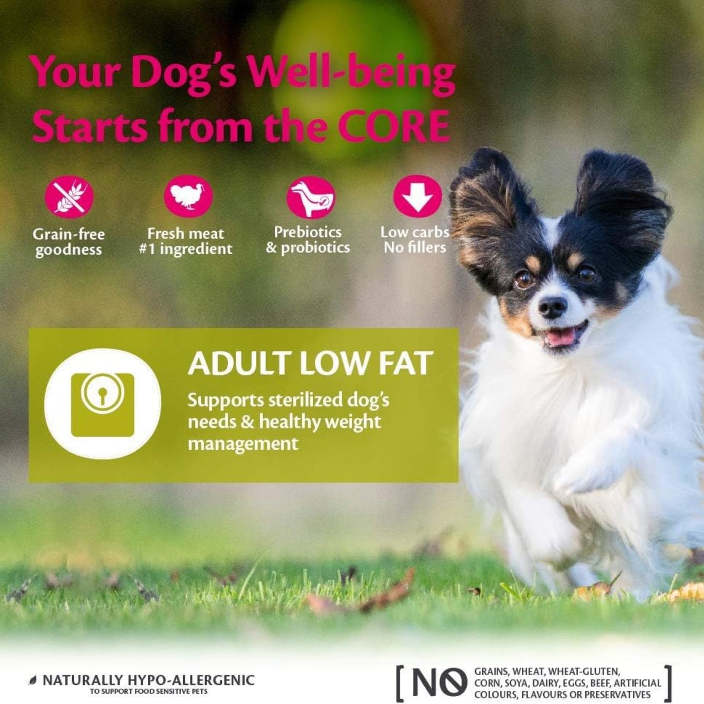 Wellness CORE Small Breed Low Fat (Continut Scazut de Grasimi) – Hrana Uscata pentru Caini Talie Mica, cu Curcan, pentru Slabit si Control Greutate, Fara Cereale, 1.5 kg