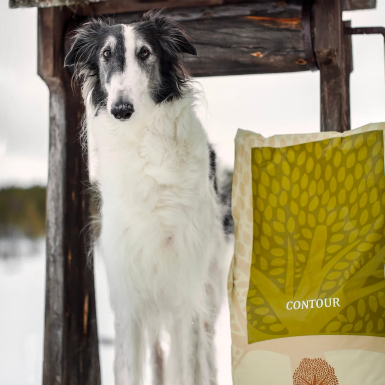 Essential Contour, Hrana Uscata pentru Caini Sterilizati si Control Greutate, Crocheta Mare, 10kg