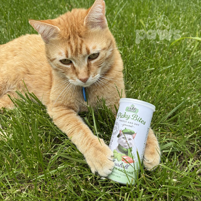 Picky Bites Hairball, Recompense Freeze-Dried pentru Pisici, cu Pui si Iarba de Pisica, Control Ghemotoace, 30g