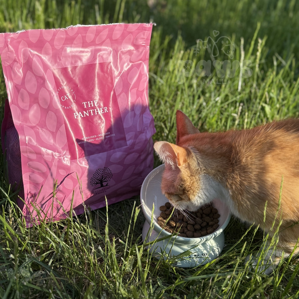 Essential The Panther, Hrana Uscata pentru Pisici Senior / Adult Sterilizate si Controlul Greutatii, cu Somon, Peste Alb si Hering, Fara Cereale, 3kg / 1.5kg